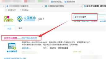 中国移动服务密码怎么重置,如何重置中国移动服务密码？-第3张图片