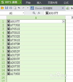 利用WPS表格快速筛选自己喜欢的车牌号