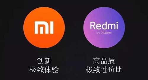 小米新千万级爆款手机 Redmi 10,5000万主摄已安排