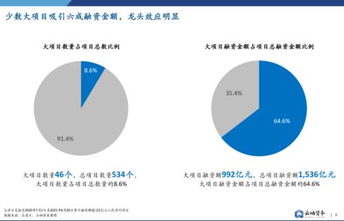 电视剧榜单2021