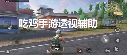 pubg手游透视辅助,什么是PUBG手游透视辅助？