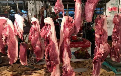 连降10周 猪肉价格降超两成, 10元肉 在路上了