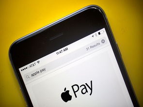  富邦华一东航联名卡 applepay 天富招聘