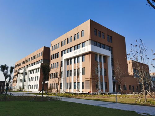 青岛专科学校