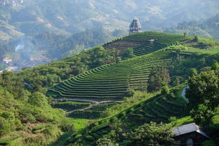 三月三游广西三江仙人山AAAA景区