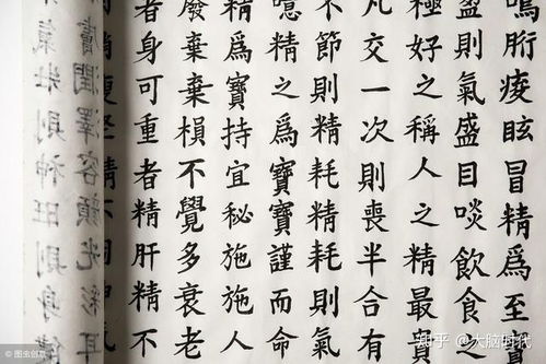 我是如何一个月内记忆了 弟子规 离骚 道德经 百家姓 