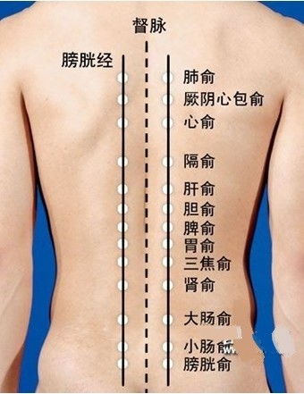 背部摸穴诊病 手法医学工作者常用的方法