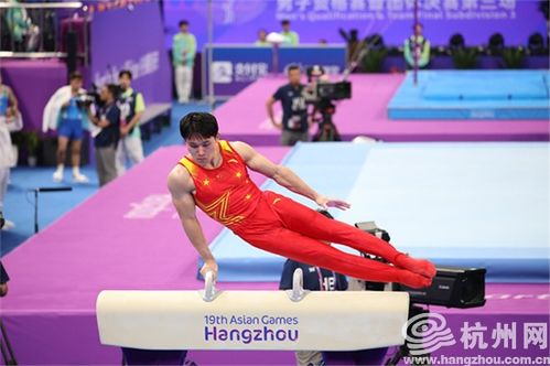 亚运会奖牌浙江队几块金牌,杭州亚运会奖牌
