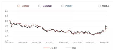 净市值指标是什么意思？好像这一指标国内很少用，没见到过。