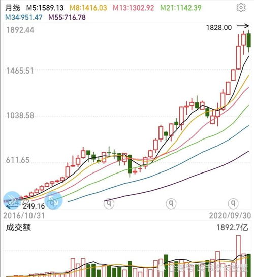 炒股的快乐「炒股的乐趣股票大佬的总结」