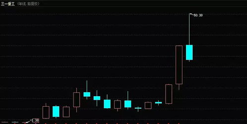 三一重工股票我有1700股能分红多少