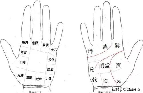 一只手可以看出多少信息