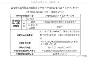 中国农业银行信用卡进度怎么查询(农业银行信用卡申请进度)