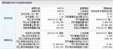 在深圳明阳电路公司做erp开发有前途吗