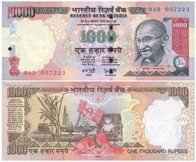 印度的纸币有一些什么面值的 