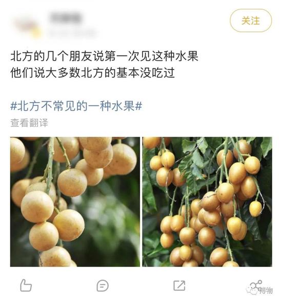 99 北方人不认识的水果,名字非常糊弄