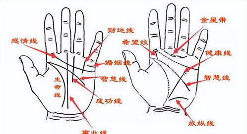 俗语 三角纹在手,富到九十九 ,什么是三角纹 有何道理