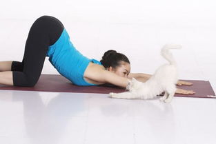 猫式瑜伽可以练哪个地方 猫式瑜伽怎么练