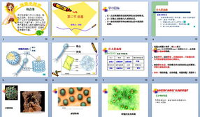 初中八年级上册数学笔记