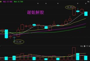 具有极强的财务能力,抵御风险的能力极强.是什么意思？