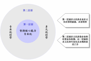 什么是多元化公司？举几个世界著名公司的例子？