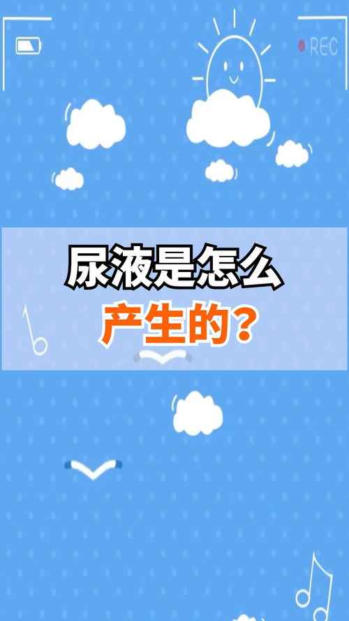 冷知识看视频要会员，冷知识看视频要会员才能看吗