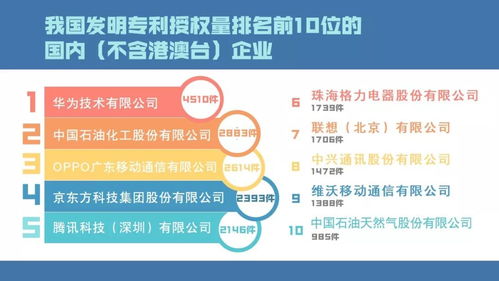 关注 2019知识产权主要数据