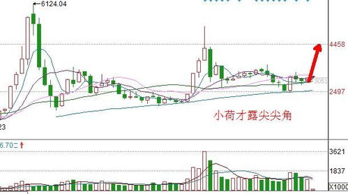 什么是空头不死，涨势不止