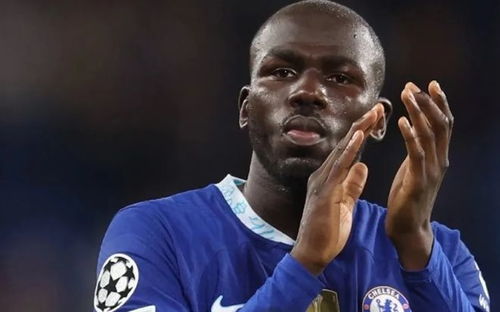 số liệu thống kê về kalidou koulibaly,Thông tin cơ bản về Kalidou Koulibaly