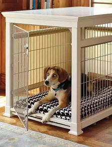 刚到家的狗狗应该关笼子吗