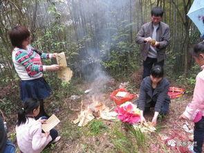 农村老人说 清明上坟有讲究,这4条 禁忌 不可触犯,你知道吗 