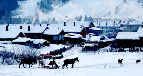 雪乡三日游,雪乡旅游攻略三天多少钱-第4张图片