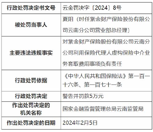 金融公司虚假资料