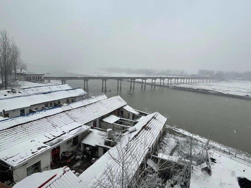 美哭了 2020年固始最后一场雪,刷爆朋友圈