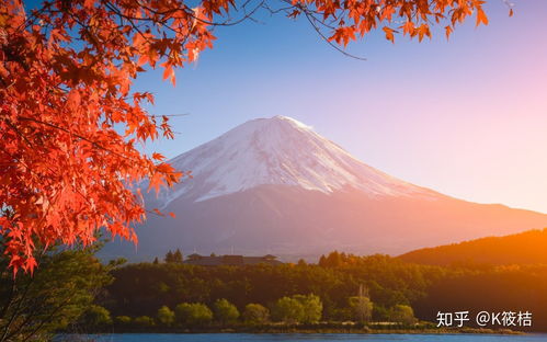 日本 富士山 秋天 红叶壁纸 米粒分享网 Mi6fx Com