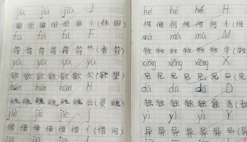 小学生的A 作业,字体漂亮如印刷体 网友 是学霸的模样