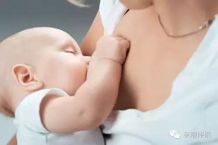 让新妈妈母乳喂养受阻的五大乳头问题