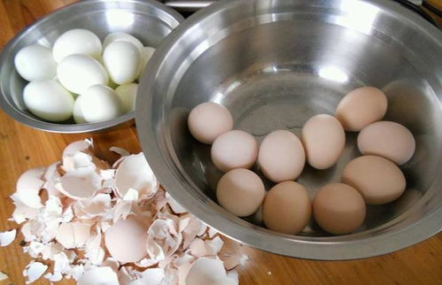 煮鸡蛋时,不能只用清水,锅里加点它,蛋壳轻轻一碰就掉