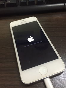 iphone5更新不了 也恢复不了系统 也不能开机 白苹果 怎么办 