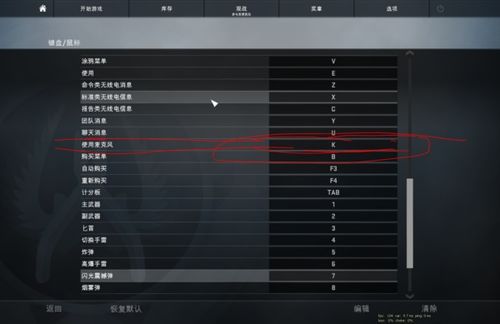 CSgo按什么键说话 