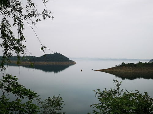 鄂西北自驾游之丹江口水库