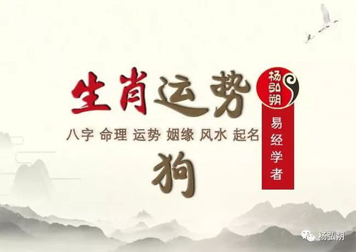 属狗的和什么属相相克