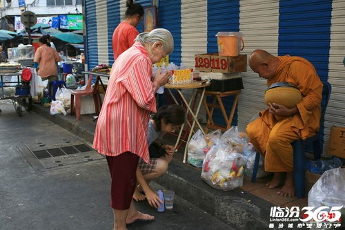 泰国小街看和尚化缘 