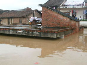 广东两村每年遭洪水淹 15年前搬迁计划仍未实施 