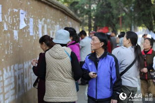 昆明节后公园相亲忙 家长反而成 主角 