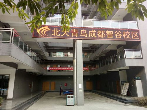 成都北大青鸟学校怎么样？成都北大青鸟学校怎么样呀