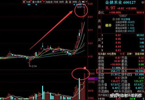 罗顿发展业绩糟糕,尾盘放量涨停.是何原因?强势能否持续?