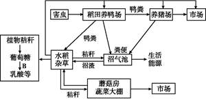 荠菜的果实形状有三角形和卵圆形两种.该性状的遗传涉及两对等位基因.分别用A.a和B.b表示.为探究遗传规律进行了如下杂交实验.回答下列问题 1 产生卵圆形果实的植株基因型是 