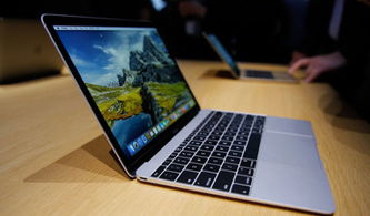 macbook pro用的什么cpu型号