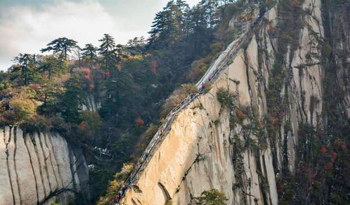 居住在华山下的村民,为何一辈子也不爬华山呢 原因很真实